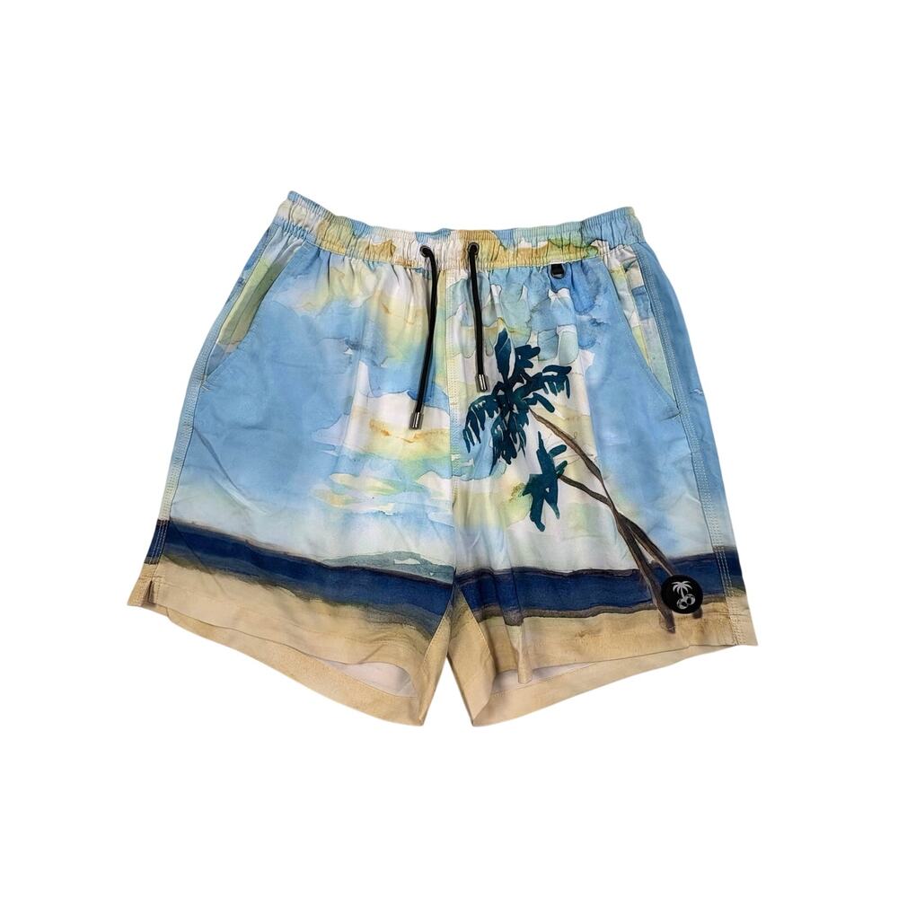 Balls Beachwear Bobs Your Uncle Swim Trunks Boys L (14-16) Blue Tropical Beach